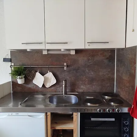 Apartment Pour 3 Personnes Avec Balcon Ouest, Au Centre De Valloire, Proche Commerces Et - Fr-1-263-461 *